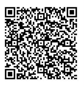 QR Code Pix do Laughtale